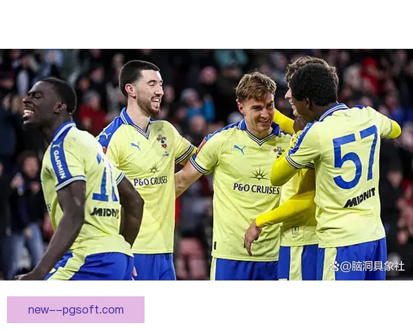 南安普顿凭附加赛胜利成功冲超重燃球迷激情